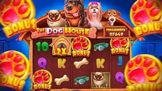 OZ BLANS BILAN XARAKAT QIB KO`RDIM ( DOG HOUSE )