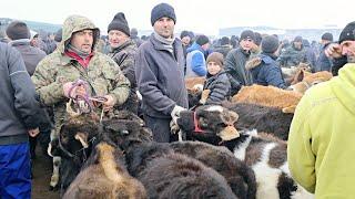 Нархҳо Қимат Савдо нест Молбозори Ленский Раёни ш.Душанбе 18.12 2024 г