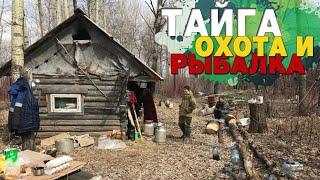 Тайга. Охота и рыбалка в Сибири. Дикая природа. Taiga. Hunting and fishing in Siberia.