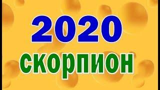 СКОРПИОН  2020 год. Таро прогноз гороскоп