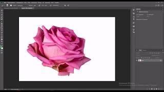 Создание кисти из любого изображения в Photoshop