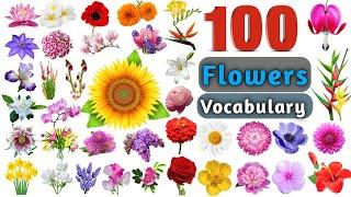 Flowers Vocabulary In English ll 100 Flowers Name In English With Pictures