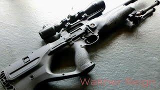 Walther Reign | Full Review & Field Test