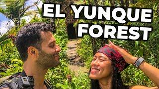 We hike in El Yunque to Mt Britton Tower + Luquillo kiosks food Alcapurria!