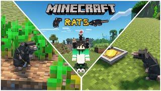 RATS in Minecraft | Minecraft Mods | Raju Gaming