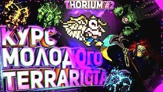 Курс Молодого Terrariста | Thorium Edition | Лучший гайд по террарии | Часть 2