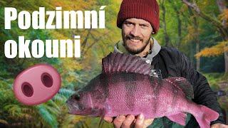 Podzimní okouni a nový osobáček | Autumn perch & new PB