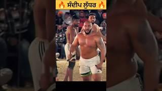 Sandeep Ludhar   । Pala Jalalpur #kabaddi shorts #viral_shorts #justicefornangalambian #28