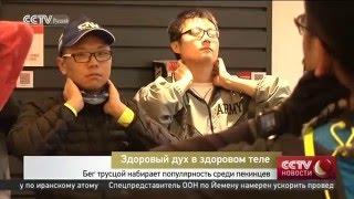 Бег трусцой набирает популярность среди пекинцев