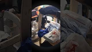 go back in your bed!!!!!!