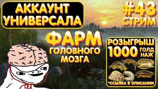 1000 голд наживки РОЗЫГРЫШ  Аккаунт универсала #43 стрим  Прем на TROVO  Русская Рыбалка 4 #1114