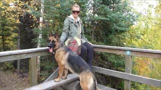HIKING ON TREEBEARD TRAIL WITH GERMAN SHEPHERD
