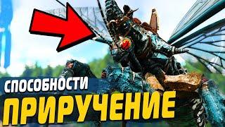 РИНИОГНАТА Приручение и Способности АРК | Rhyniognatha ОБЗОР Ark Survival Evolved