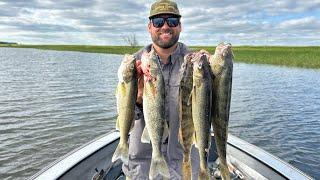 I Put The Beatdown on Some Cold Front Walleyes!