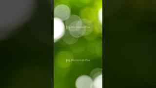 Green bokeh blured nature abstract