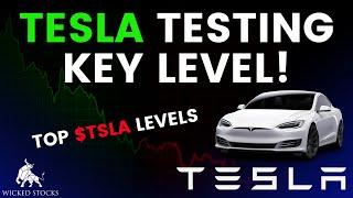 Tesla Stock Price Analysis | Top Levels To Watch for November 14th, 2024