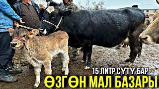 СААН УЙЛАР КУНАЖЫН УРГААЧЫ ТОРПОК БААЛАРЫ  #байтв