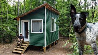 Tiny Cabin - Off Grid Shower + New Companion
