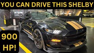 900 HORSEPOWER FORD SHELBY MUSTANG GT-500H RACE CAR Review - Hertz Miami Airport