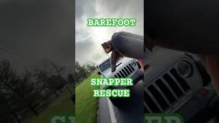 Barefoot Snapping Turtle Rescue #reptiles #turtle #snapper #nature #wildlife #animals #animalrescue