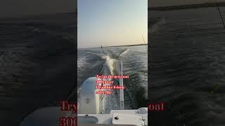 New boat 300 power suzuky #shorts #music #remix #trending #tactical#viralshorts #fyp