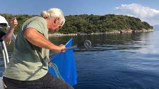 Captain Machos Fishing ! (Palamud)