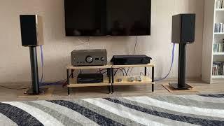 Dynaudio Special Forty