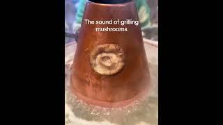 Chinese singing mushroom soup / A Rong Rong time ago ahh music #china #meme #funny #brainrot