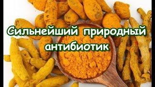 Сильнейший природный антибиотик