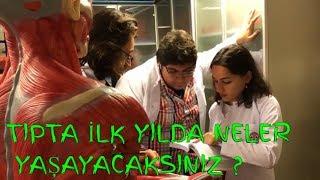 TIP FAKÜLTESİNDE İLK SENE | DETAYLI ANLATIYORUM