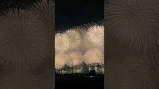 Japan fireworks 花火