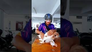 Man Saves Trapped Kittens 