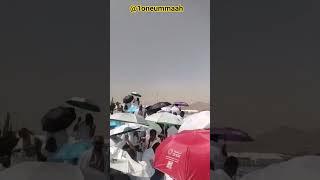 Haj 2025 Live #hajlive #haj2025 #arafatlive #arafat 05-June-2025