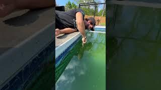 Our pool hasn’t been this gross since we took the deck off the top of it #poolcleaning #cleaning