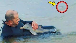 Man Rescues Baby Dolphin – Then a Woman Yells and Points Behind Him