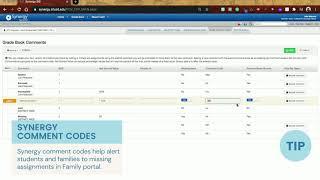 Comment Code set up in Synergy