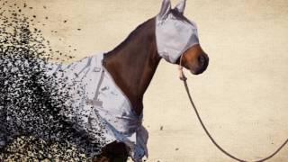 Cashel Crusader Fly Mask | Suffer No More