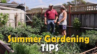 Summer Gardening Tips with Gaetano - Vasili's Classics
