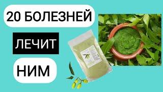 Польза нима | ним порошок | что лечит ним