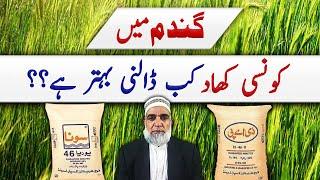 Application time of different fertilizers in wheat crop || Crop Reformer