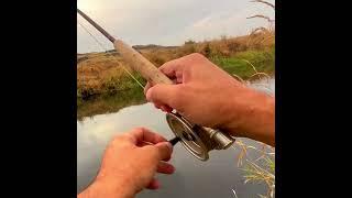 What EVERY Fisherman DREAMS About!