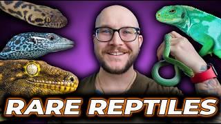 I’ve Never Done This Before! Breeding HUNDREDS of Reptiles and YOU Can Have Them!