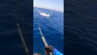 Insane Topwater Explosion  #fishing #nature #sea #fish #pescaria #naturelovers #sealife #ocean