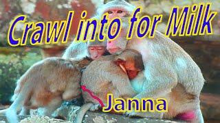 Ep40  Monkey Jane's Family Update Today January 2022 [Compilation]