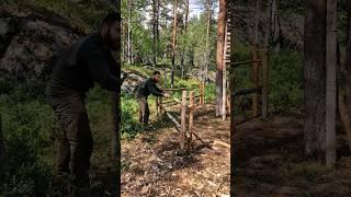 Making a fence around the treehouse without power tools #shorts #bushcraft