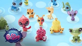 Littlest Pet Shop - 'Rainbow Collection' Official TV Commercial