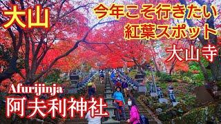 神奈川 見逃し厳禁の絶景『紅葉の大山阿夫利神社と大山寺』 歴史と見所と穴場を徹底解説️