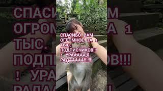 спасибо огромное!!!!🫶🫶🫶🫶🫶🫶🫶🫶#shorts