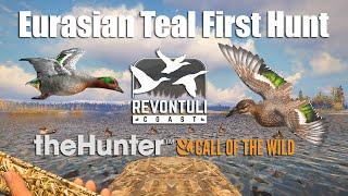 Eurasian Teal First Hunt - theHunter Call Of The Wild