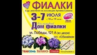 ВЫСТАВКА ФИАЛОК,Самарский Дом Фиалки,3-7 июля 2018г.